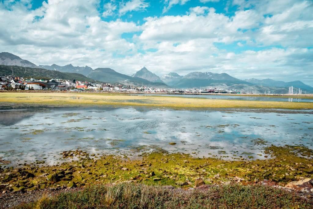 La aparición de algas verdes en la Bahía Encerrada es un fenómeno