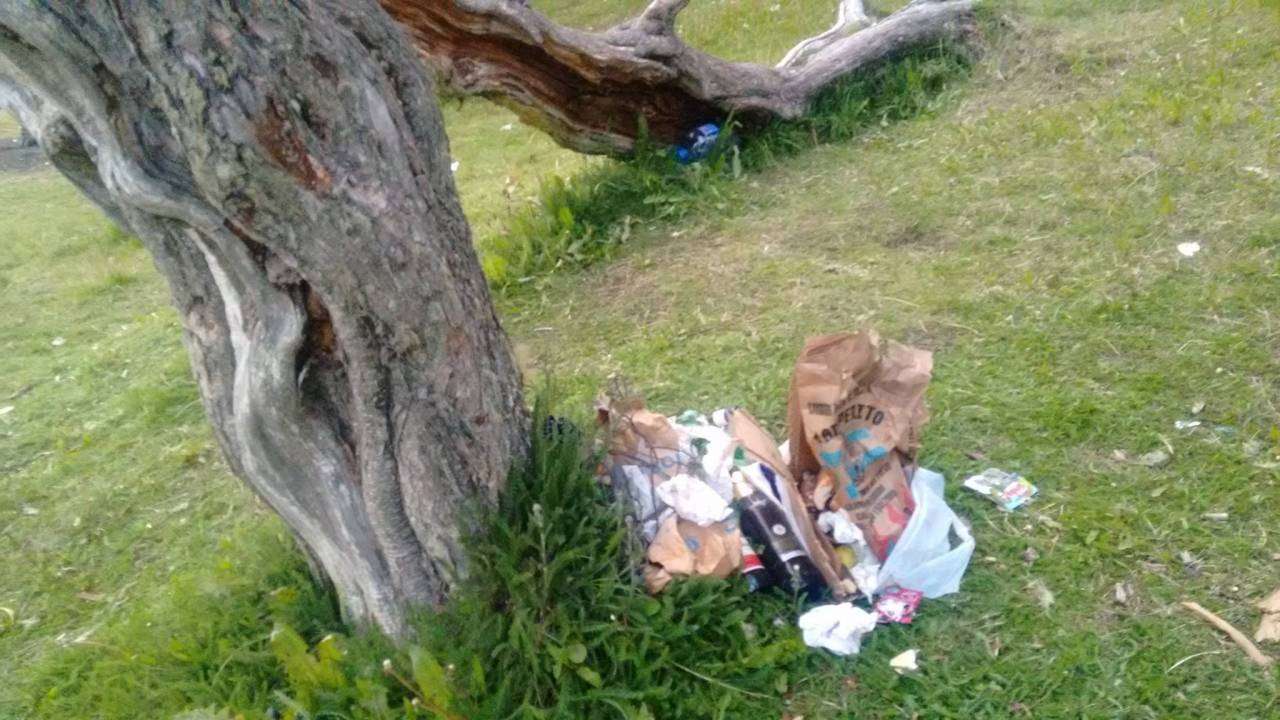  Basura a motones, en las zonas de los camping. Un panorama triste y que habla de la existencia de gente con muy malas costumbres.