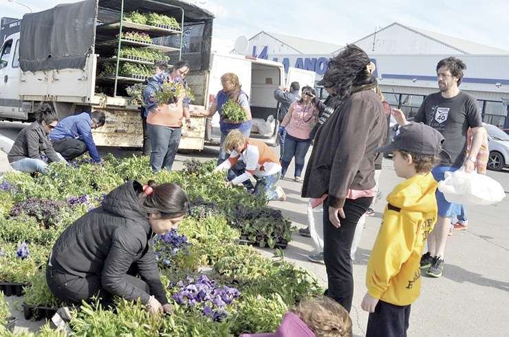 En tres puntos de la ciudad, habrá entrega de plantines. 