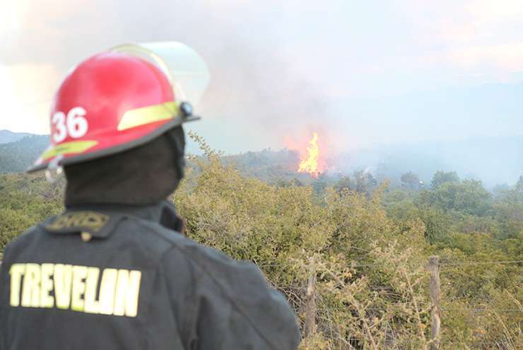 El incendio destruyó un importante sector del bosque nativo.