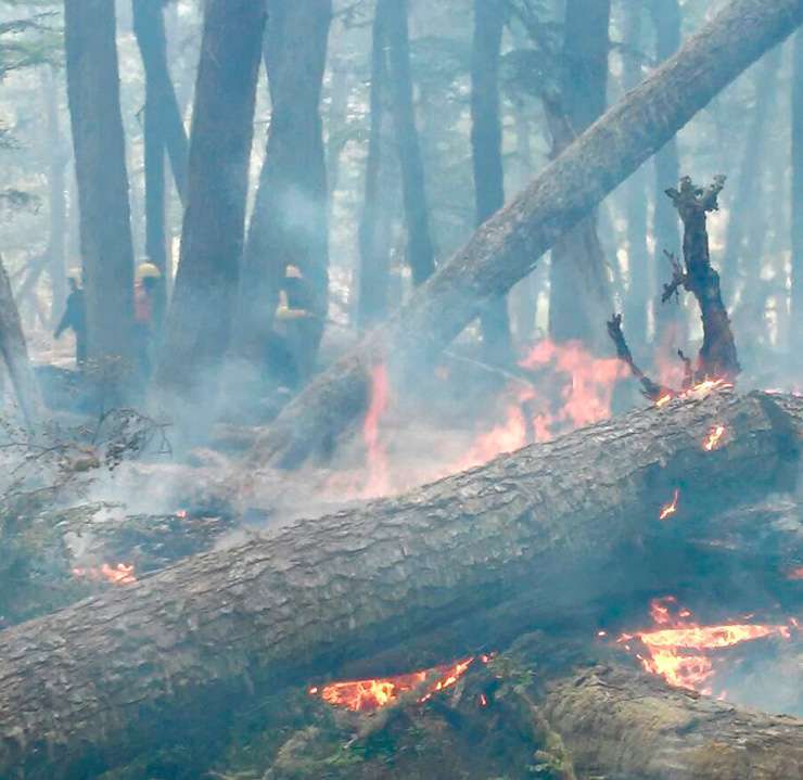 El denodado esfuerzo de las Brigadas de Incendio Forestales y de Defensa Civil, ante la acción de gente que no tiene cuidado por el medio ambiente del cual se vale para disfrutar de un día de camping.