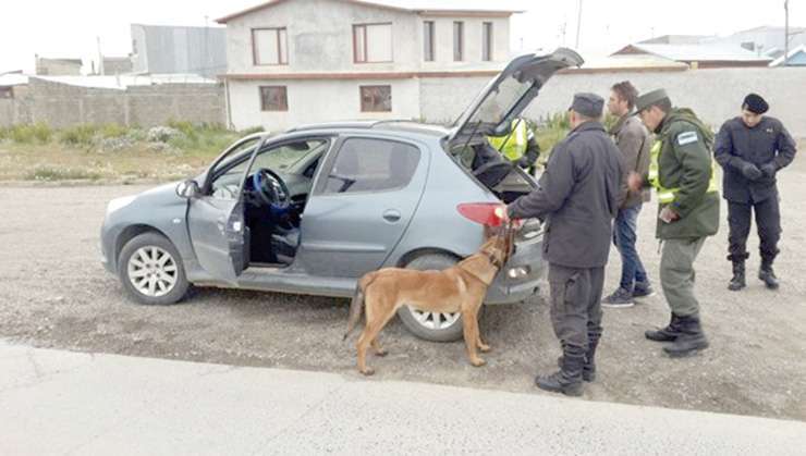 El procedimiento lo realizo la Policía de la Provincia y la Gendarmería Nacional.