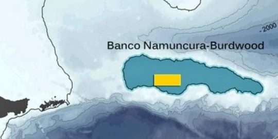 El Área Namuncurá-Banco Burdwood se ubica 200 kilómetros al sur de Malvinas.