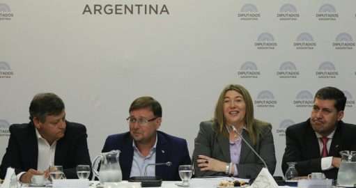 Rosana Bertone en el encuentro de los gobernadores con diputados del PJ.