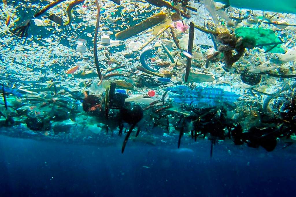 Microplásticos En El Mar Argentino Diario El Sureño 6491