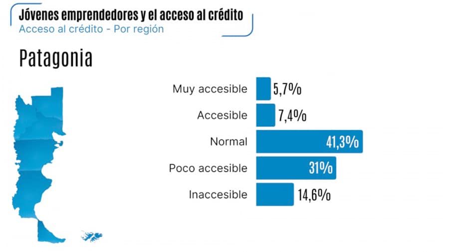 Young entrepreneurs do not have access to productive credit – Diario El Sureño