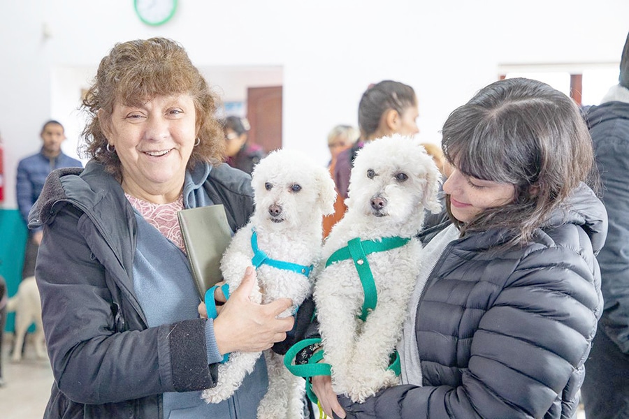 200 Doses of Anti-Rabies Vaccine Administered and Pets Chipped at Municipal Community Center in Rio Grande