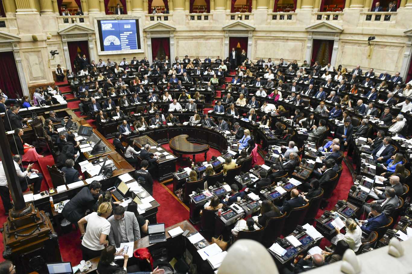 Ley De Bases Cómo Votó Cada Uno De Los Diputados Diario El Sureño 9700