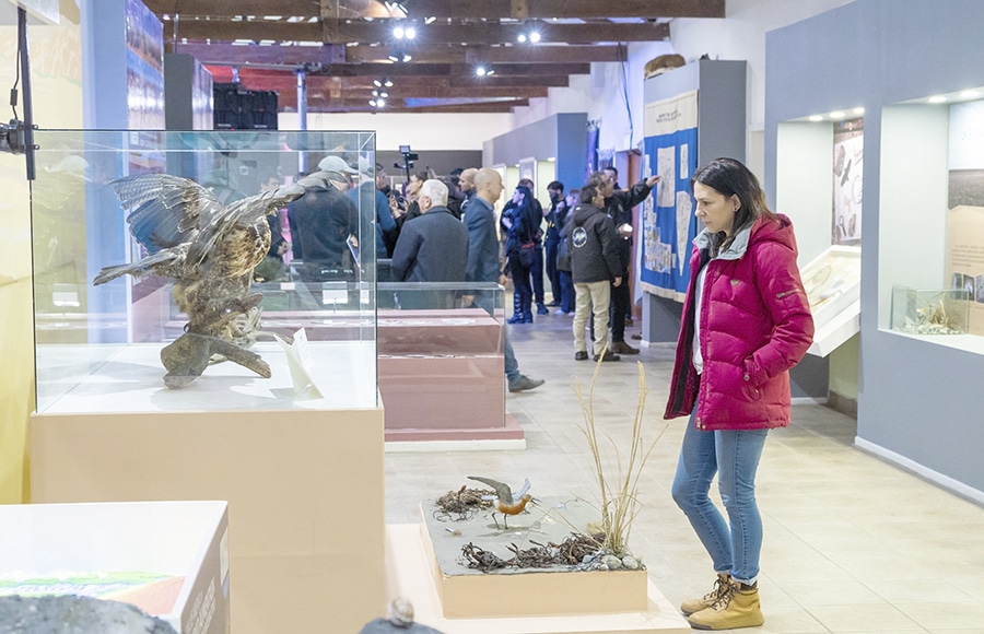 Total Austral celebró la presentación de la Sala de Biodiversidad Marina