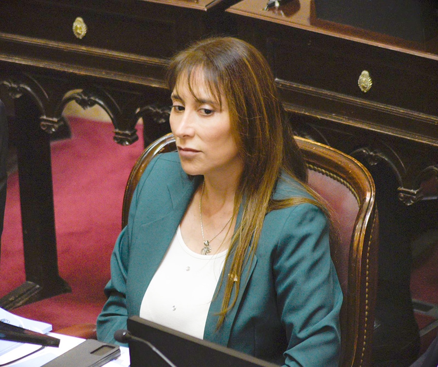 Senadora Cristina López: “El odio de Milei pone en peligro a la democracia”