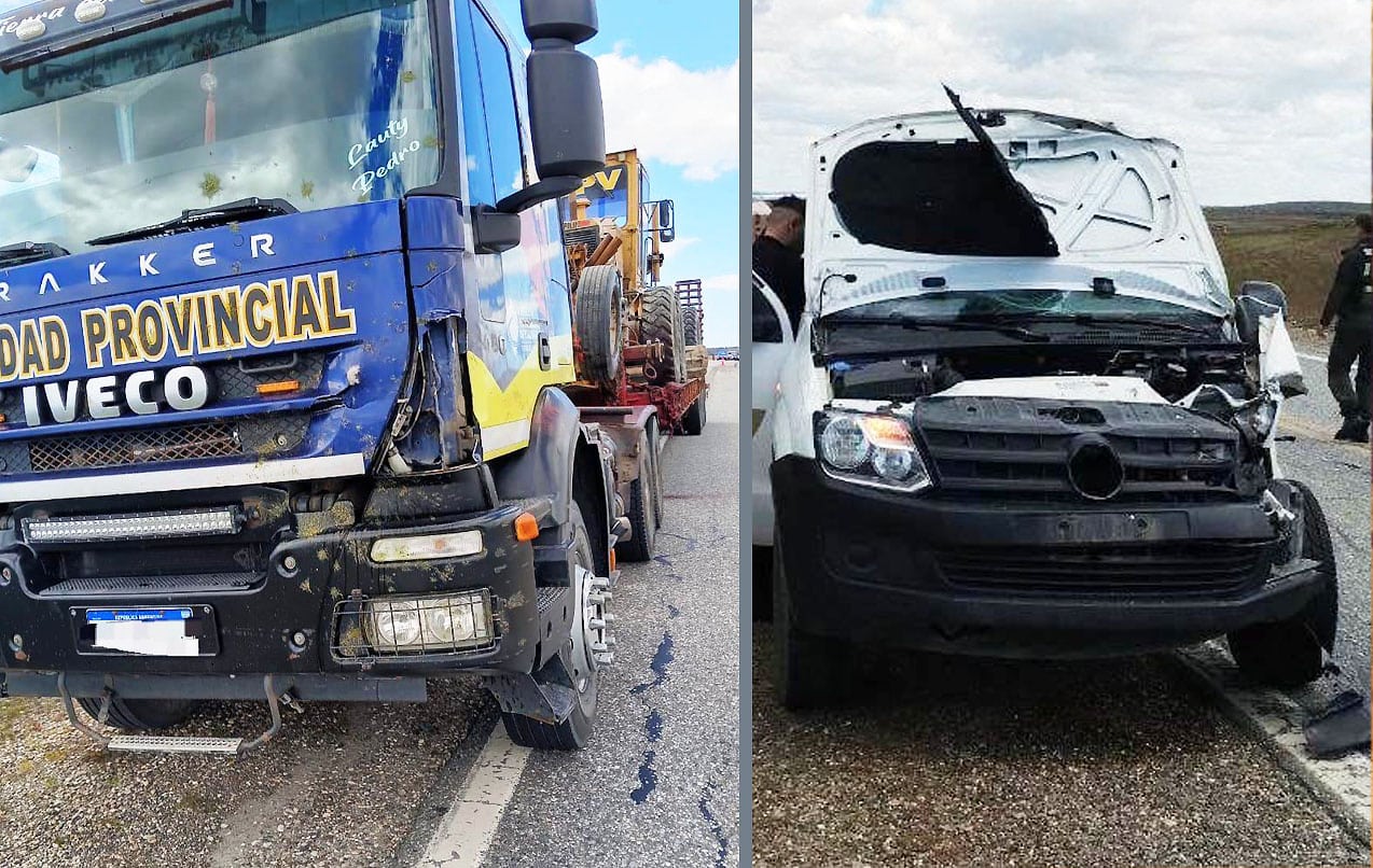 Un camión y una camioneta embistieron a un guanaco